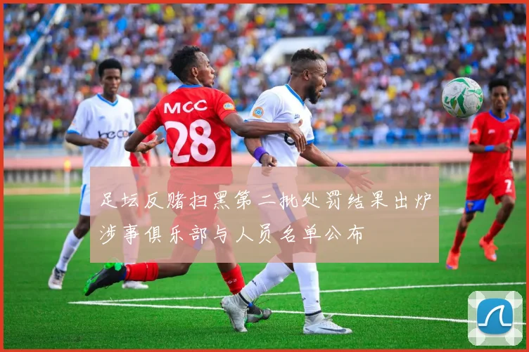 足坛反赌扫黑第二批处罚结果出炉涉事俱乐部与人员名单公布