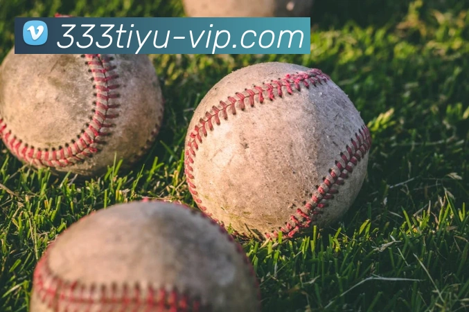 333体育 - 打造备受球迷信赖的综合体育新闻资讯平台平台生态图