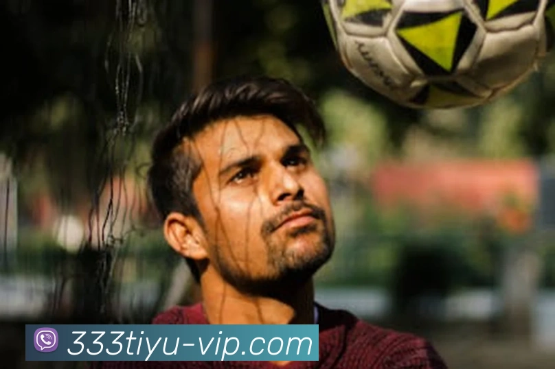 App Interface Preview