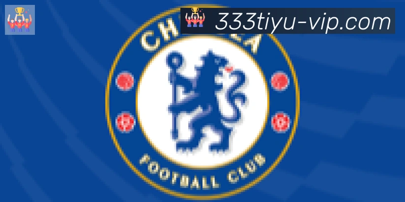 333体育合作伙伴