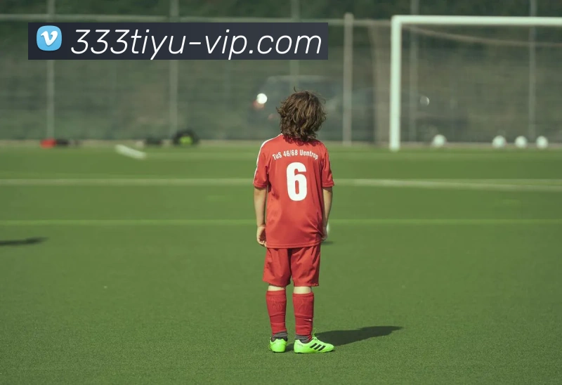 辅助工具 辅助工具